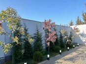 Satılır 4 otaqlı həyət evi/bağ evi 160 m², Mərdəkan q., photo 6 from 8