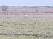 Продаётся  участок 20 000 сот, photo 6 from 8