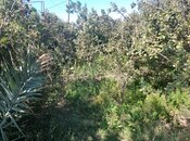 Объявление №5980545 - Баку, пос. Локбатан, 4 сот