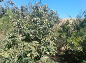 Satılır  torpaq 4 sot, Lökbatan q., photo 4 from 8