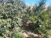 Satılır  torpaq 4 sot, Lökbatan q., photo 5 from 8