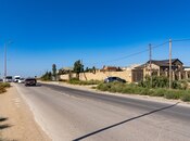 Продаётся  участок 8 сот, пос. Пиршаги, photo 4 from 5