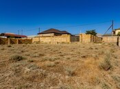 Объявление №5980637 - Баку, пос. Пиршаги, 8 сот