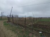 Elan №5980719 - Gəncə, Gəncə, 5 sot