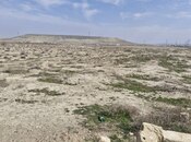 Elan №5980735 - Bakı, Pirəkəşkül q., 50 sot