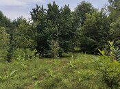 Satılır 2 otaqlı həyət evi/bağ evi 100 m², photo 7 from 8