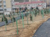 Satılır 4 otaqlı həyət evi/bağ evi 95 m², Xocəsən q., photo 8 from 8