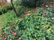 Сдаётся 3-комн. дом/дача 110 м², photo 4 from 8