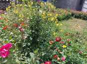 Сдаётся 3-комн. дом/дача 110 м², photo 5 from 8