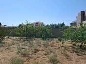 Объявление №5981210 - Баку, пос. Новханы, 6 сот