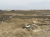 Объявление №5981021 - Баку, пос. Сарай, 59 сот