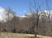 Satılır  torpaq 48 sot, photo 2 from 6