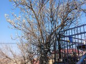 Elan №5981450 - Bakı, Hökməli q., 4 otaqlı, 158 m²