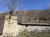 Elan №5981483 - Qəbələ, Qəbələ, 5 sot