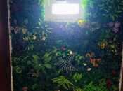 Satılır 3 otaqlı həyət evi/bağ evi 80 m², Bayıl q., photo 6 from 8