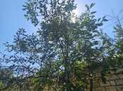 Satılır 4 otaqlı həyət evi/bağ evi 200 m², photo 5 from 8