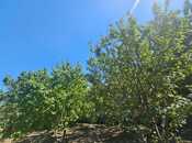 Satılır 4 otaqlı həyət evi/bağ evi 200 m², photo 2 from 8