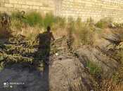 Продаётся  участок 4 сот, photo 2 from 5