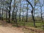 Объявление №5982045 - Ленкорань, Ленкорань, 50 сот