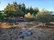 Satılır  torpaq 24 sot, Sabunçu r., photo 6 from 8
