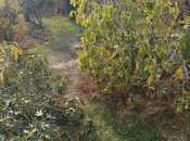 Satılır  torpaq 4 sot, Abşeron r., photo 3 from 7