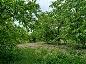 Satılır 5 otaqlı həyət evi/bağ evi 120 m², photo 8 from 8