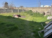 Объявление №5982559 - Баку, пос. Шаган, 2 сот