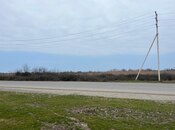 Satılır  torpaq 12 sot, photo 8 from 8