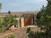 Продаётся  участок 16 сот, Пираллахи р., photo 6 from 8