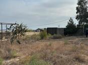 Продаётся  участок 16 сот, Пираллахи р., photo 7 from 8