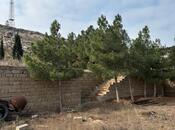 Объявление №5982659 - Баку, Пираллахи р., 16 сот