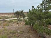 Продаётся  участок 16 сот, Пираллахи р., photo 5 from 8