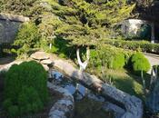 Сдаётся 6-комн. дом/дача 600 м², пос. Шувеляны, photo 6 from 8