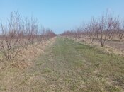 Satılır  torpaq 150 sot, Xaçmaz r., photo 3 from 4