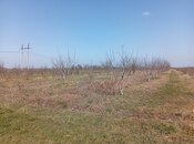 Satılır  torpaq 150 sot, Xaçmaz r., photo 2 from 4