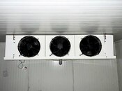 Объявление №5982720 - Баку, м. Дернегюль, 215 м²