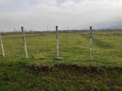 Объявление №5983031 - Ленкорань, Ленкорань, 250 сот