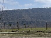Satılır  torpaq 24 sot, photo 3 from 7