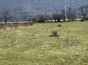 Объявление №5983410 - Гусар, Гусар, 24 сот