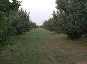 Продаётся  участок 1.2 сот, photo 5 from 8