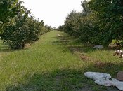 Объявление №5983472 - Худат, Худат, 1.2 сот