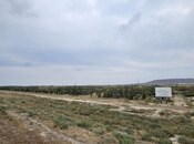 Продаётся  участок 2 000 сот, пос. Аляты, photo 7 from 8