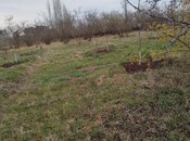 Продаётся  участок 20 сот, Хачмазский р., photo 2 from 4