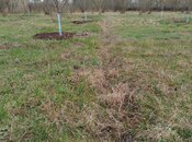 Объявление №5983606 - Хачмаз, Хачмаз, 20 сот