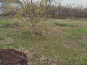 Продаётся  участок 20 сот, Хачмазский р., photo 3 from 4