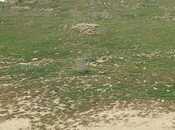 Продаётся  участок 12 сот, пос. Сарай, photo 6 from 6