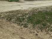 Продаётся  участок 12 сот, пос. Сарай, photo 5 from 6