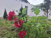 Объявление №5984316 - Губа, Губа, 2-комн., 85 м²