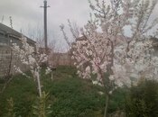 Satılır 3 otaqlı həyət evi/bağ evi 60 m², Buzovna q., photo 2 from 8