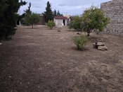Satılır  torpaq 12 sot, Albalılıq q., photo 7 from 8